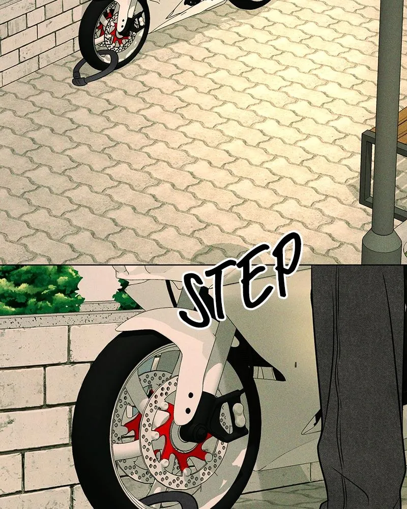 Read A Delinquent’s First Love Manga Online