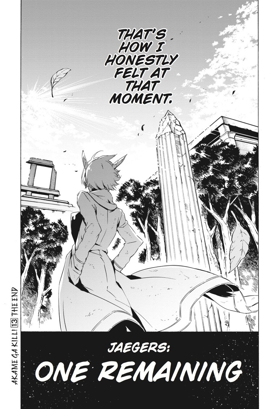 Read Akame ga KILL! Manga Online