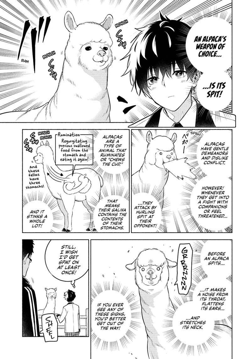 Read Animal Signal Manga Online
