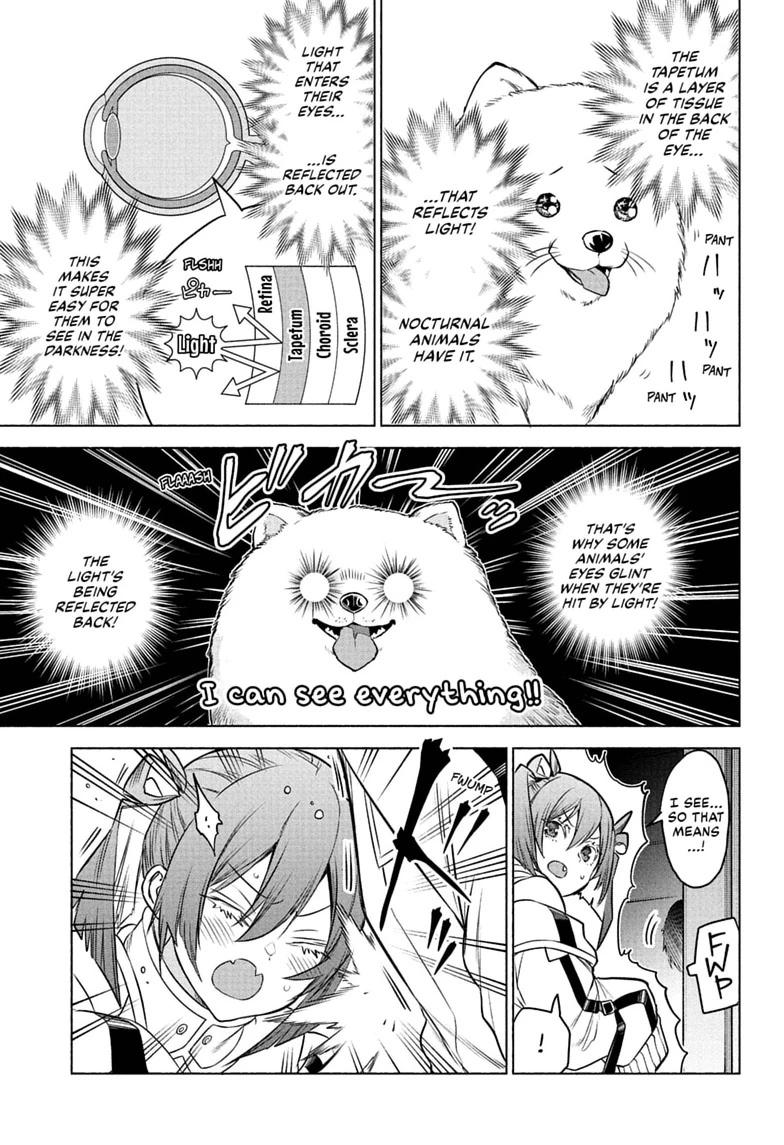 Read Animal Signal Manga Online