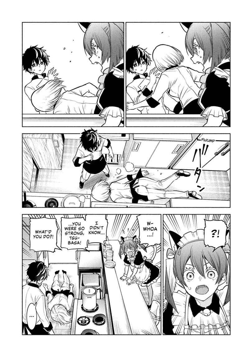 Read Animal Signal Manga Online