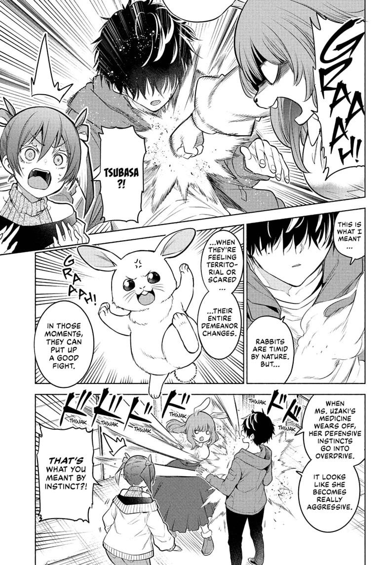 Read Animal Signal Manga Online