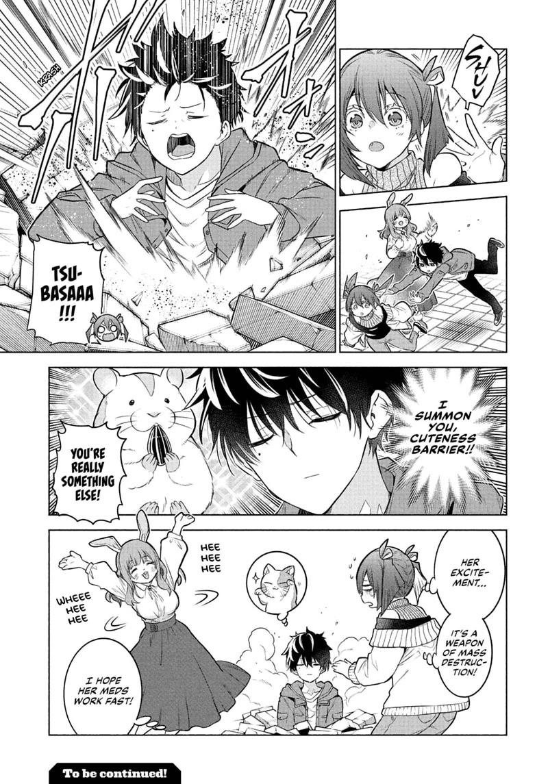 Read Animal Signal Manga Online