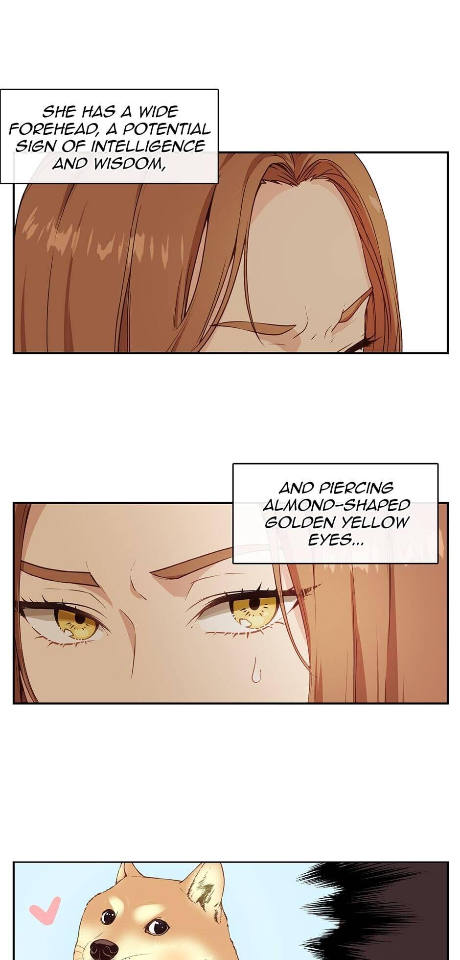 Read Beware the Villainess! Manga Online