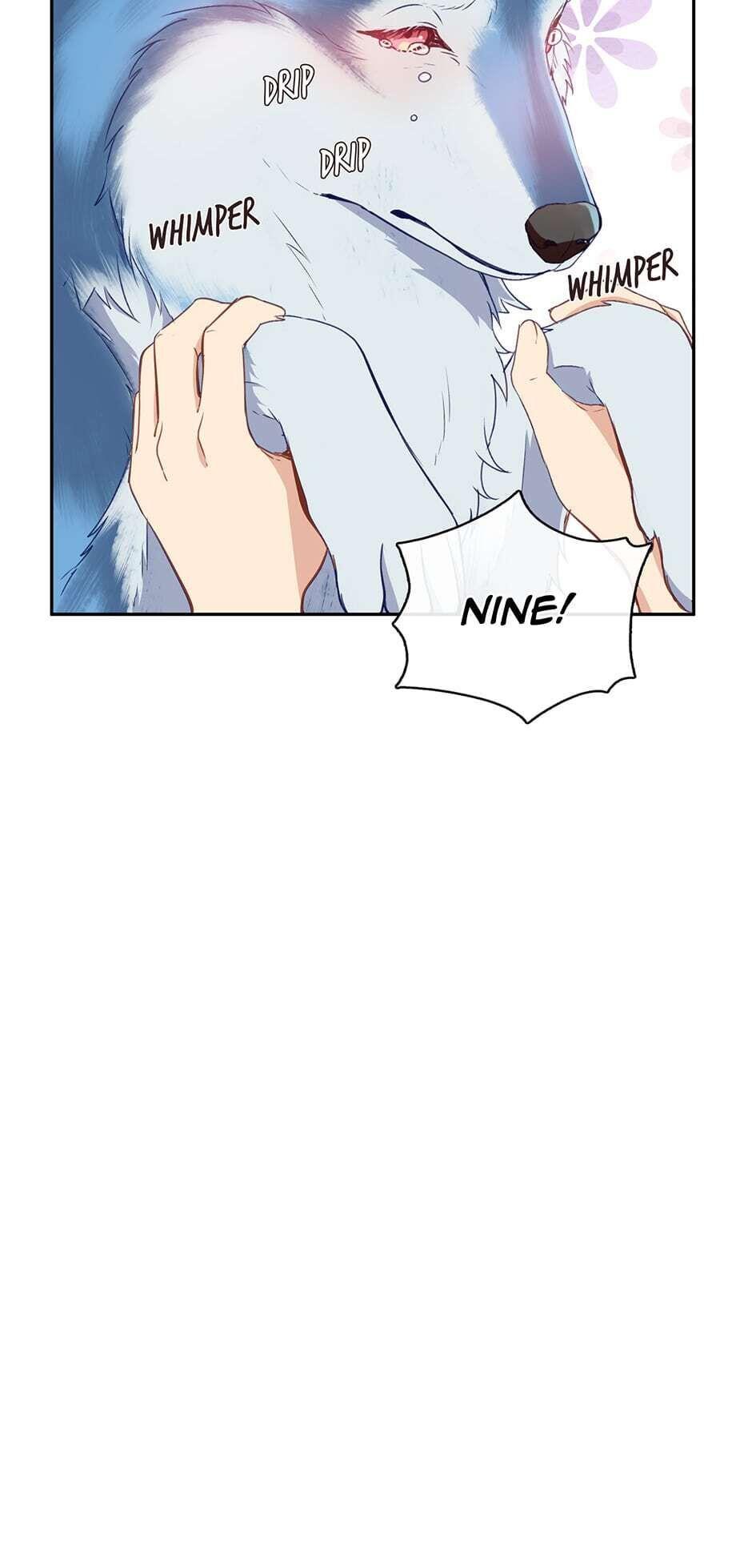 Read Beware the Villainess! Manga Online