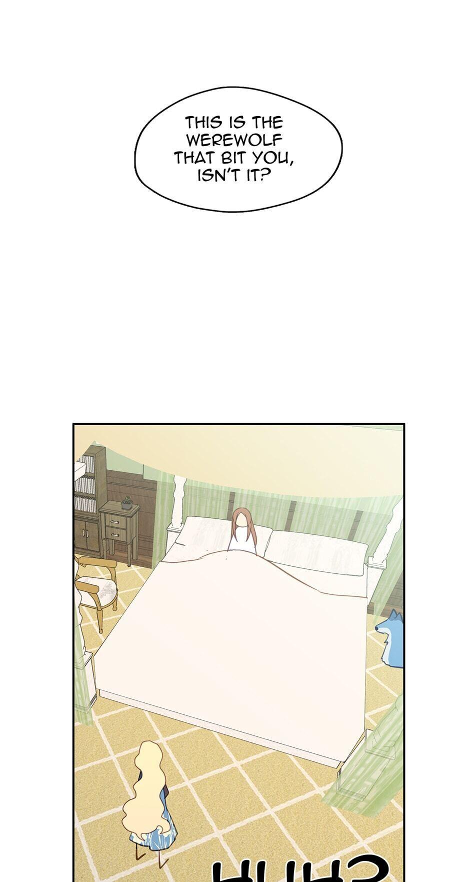 Read Beware the Villainess! Manga Online