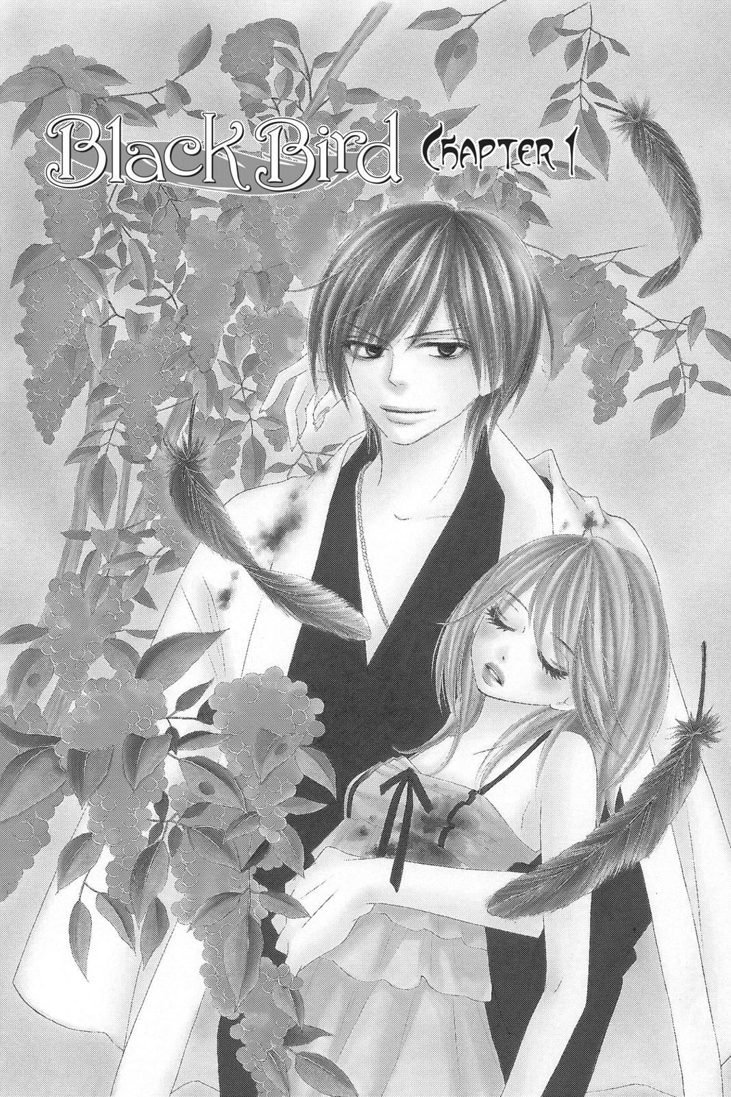 Read Black Bird Manga Online