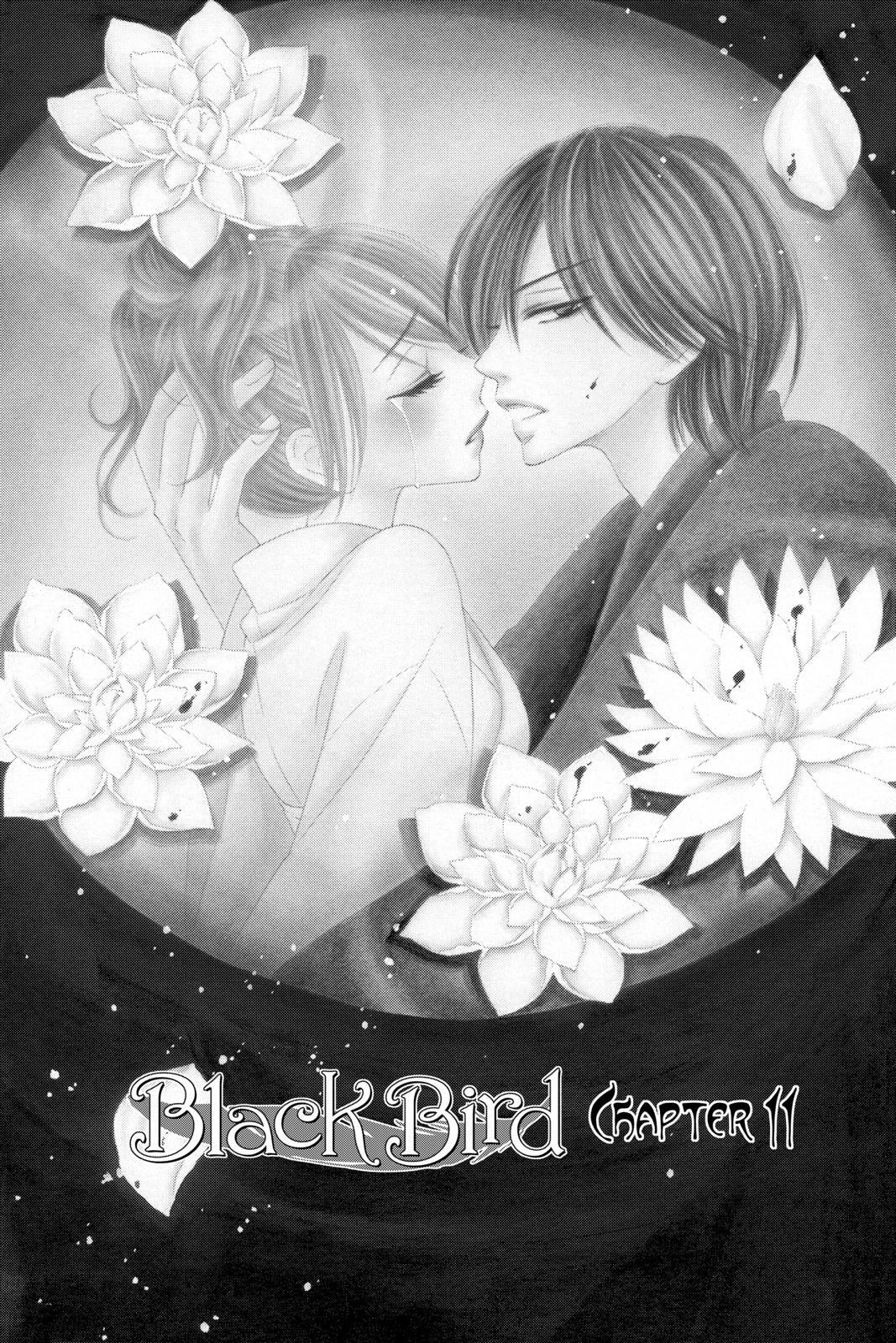 Read Black Bird Manga Online