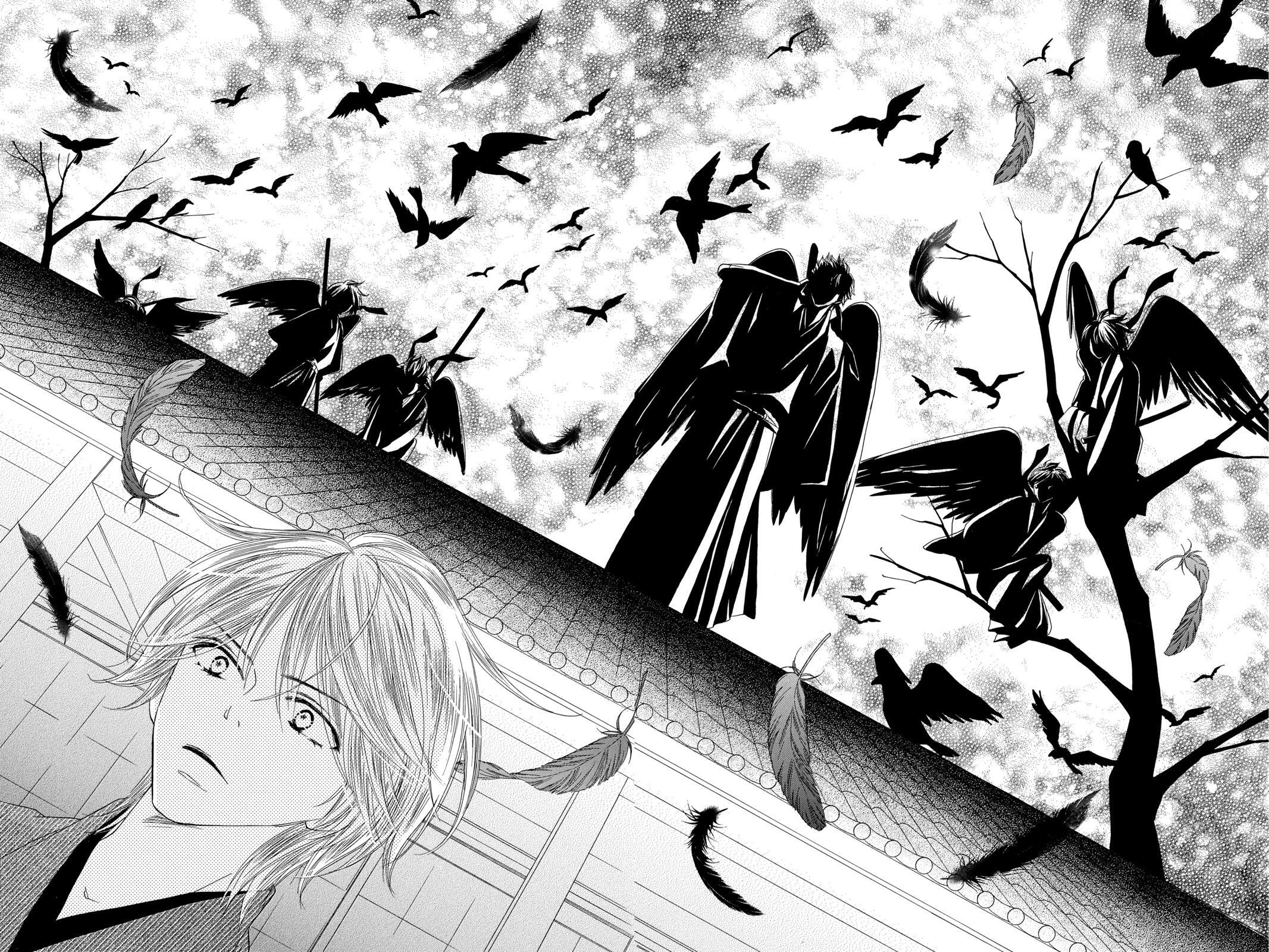 Read Black Bird Manga Online
