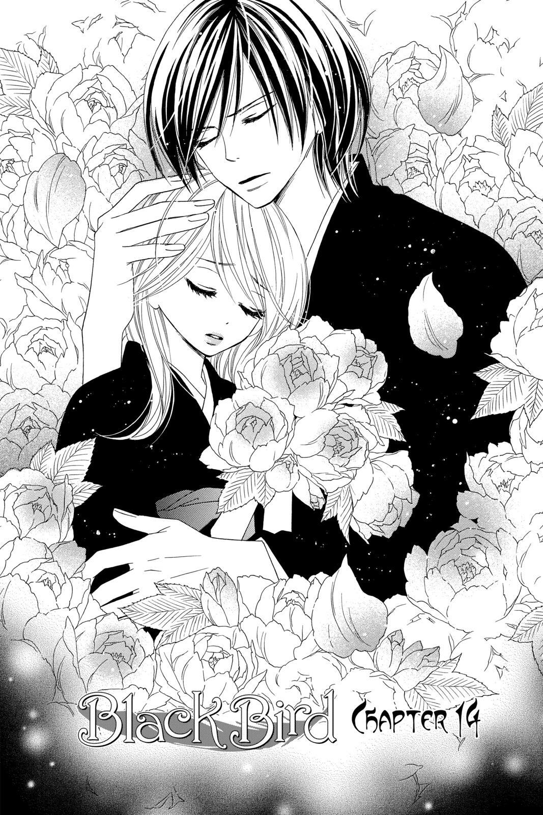 Read Black Bird Manga Online