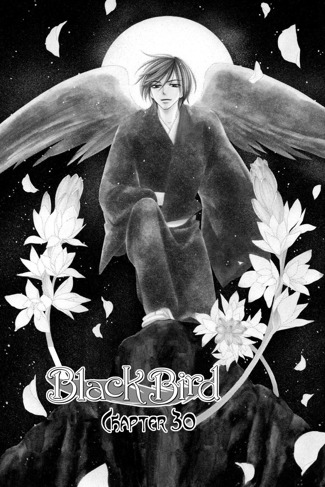 Read Black Bird Manga Online