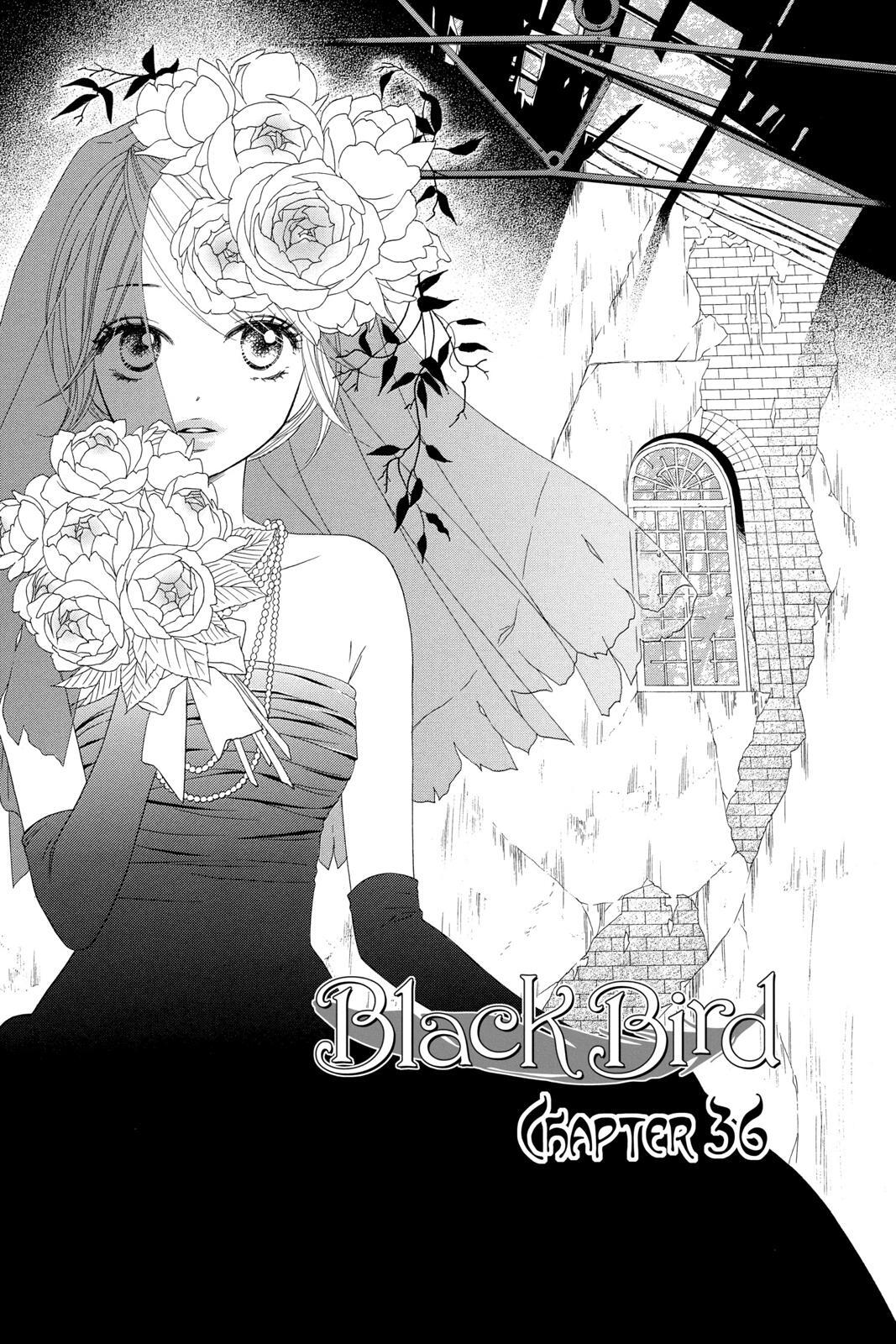 Read Black Bird Manga Online