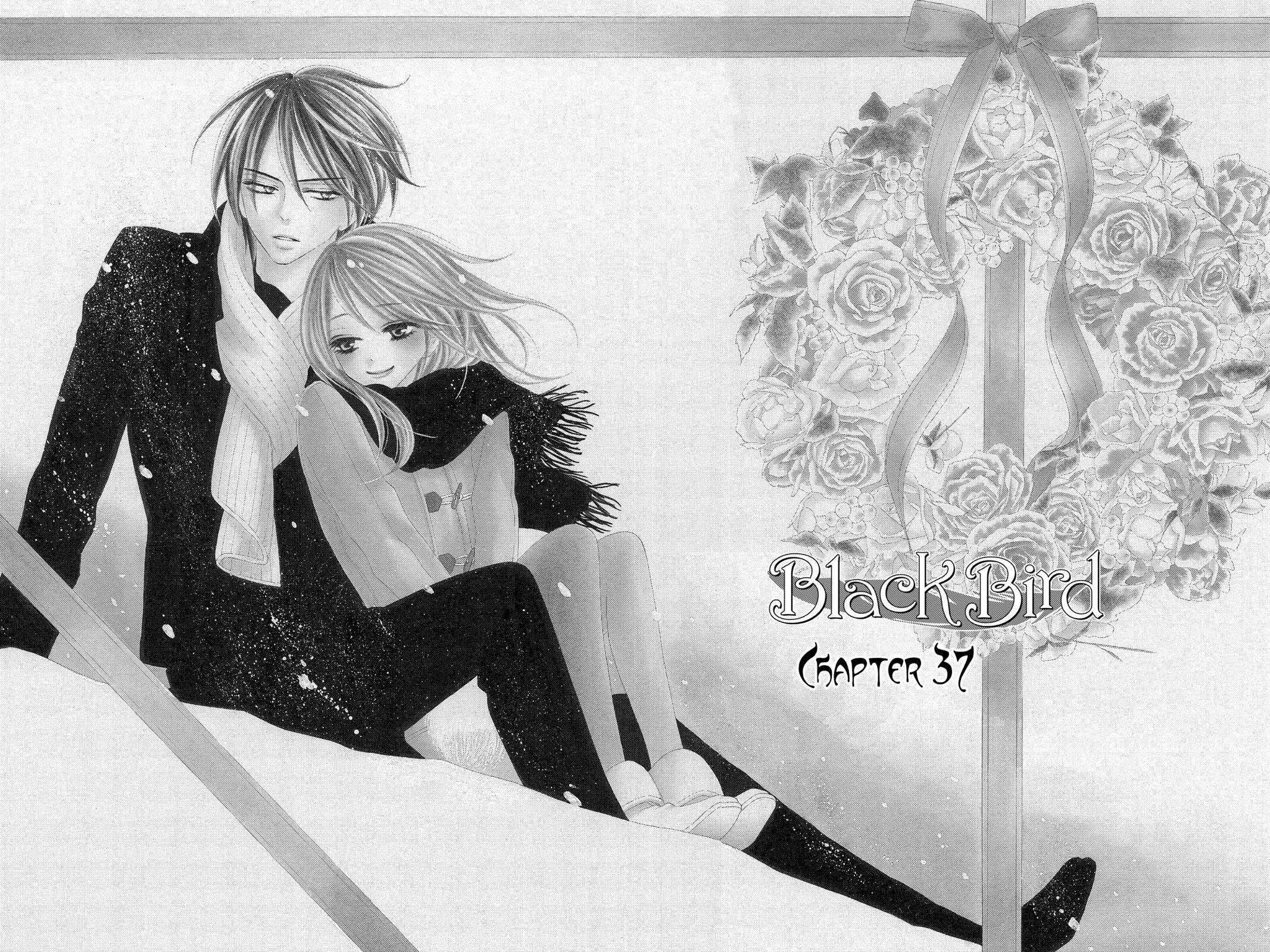 Read Black Bird Manga Online