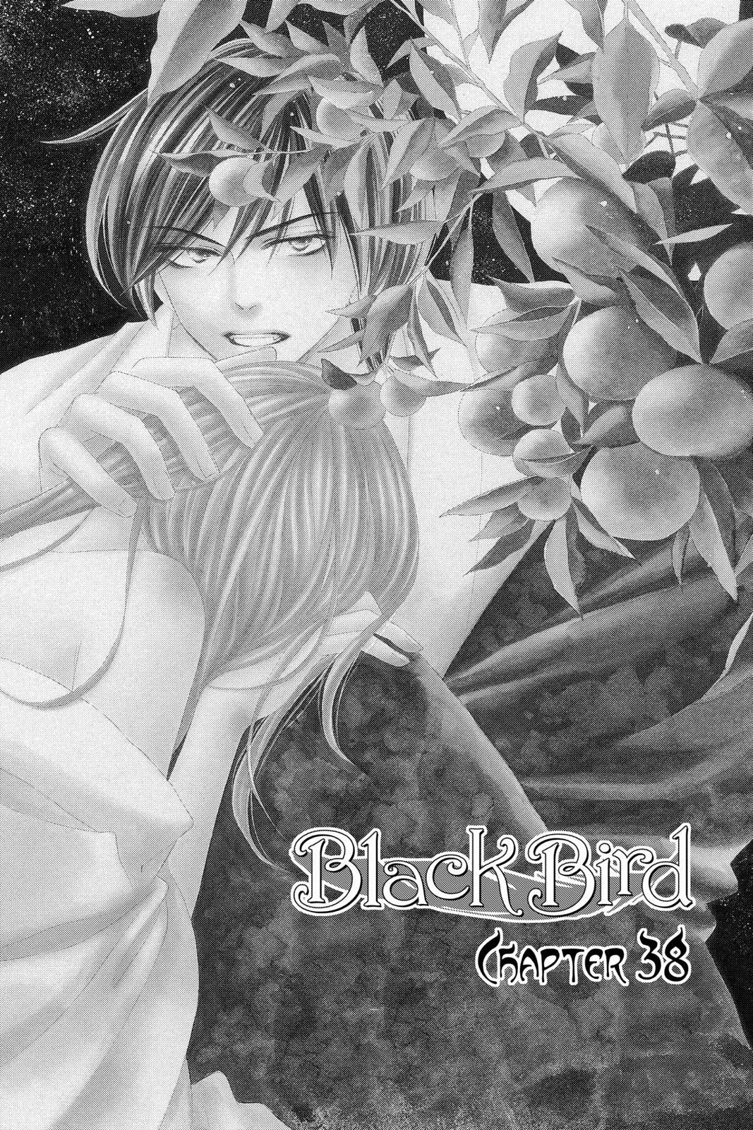 Read Black Bird Manga Online