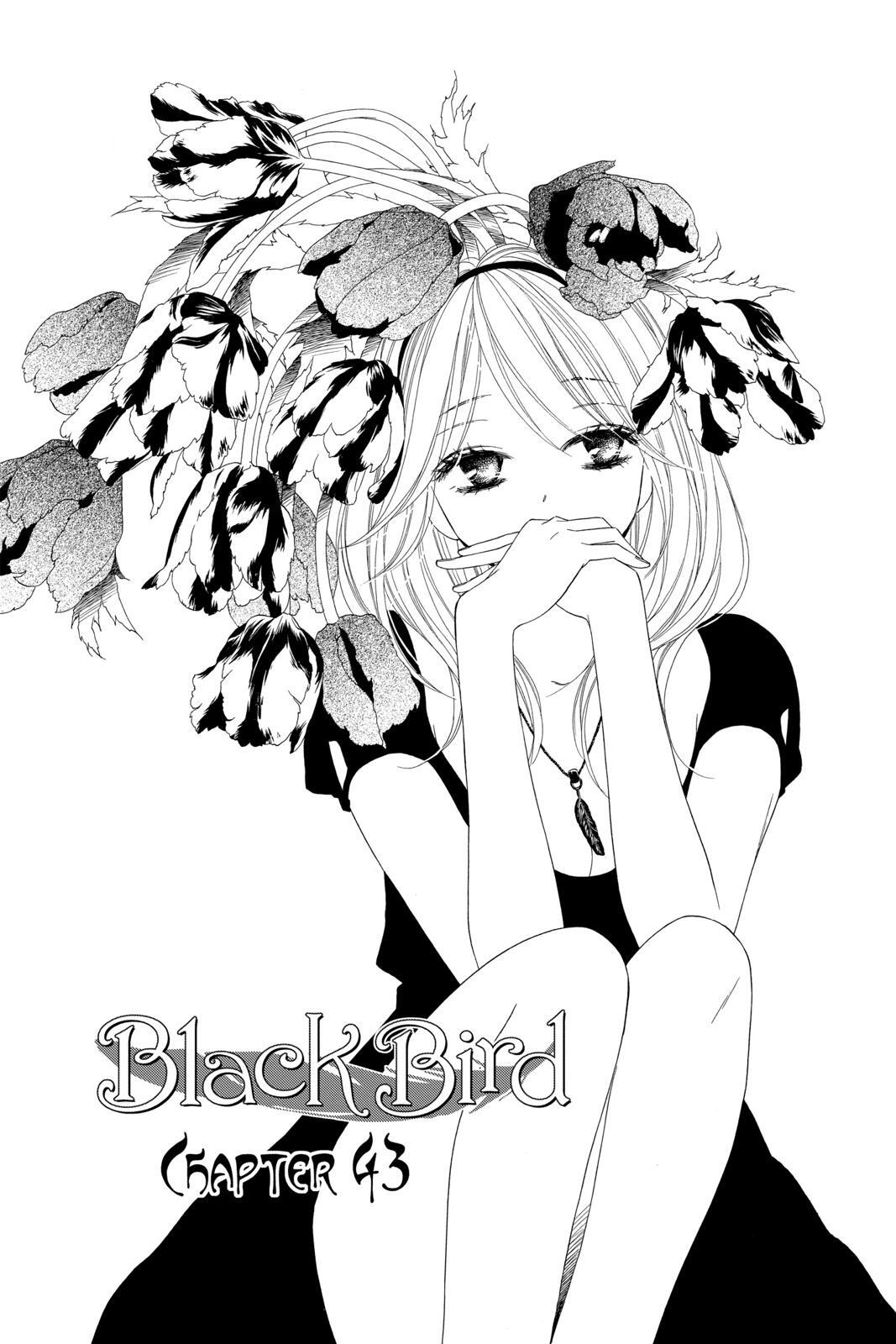 Read Black Bird Manga Online