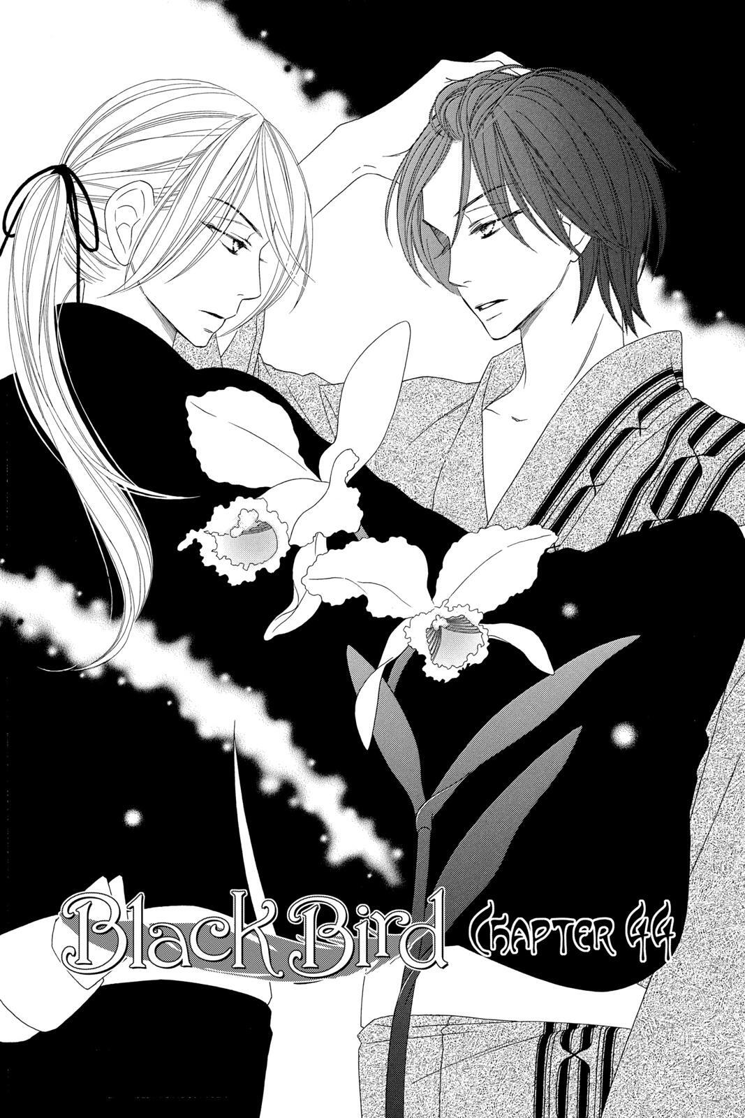Read Black Bird Manga Online