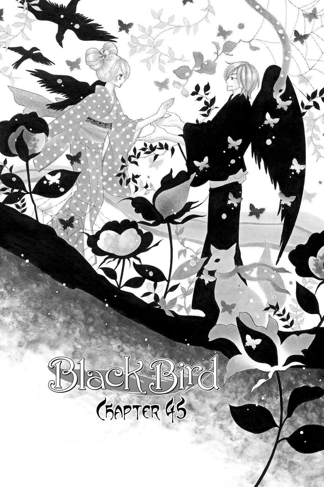 Read Black Bird Manga Online