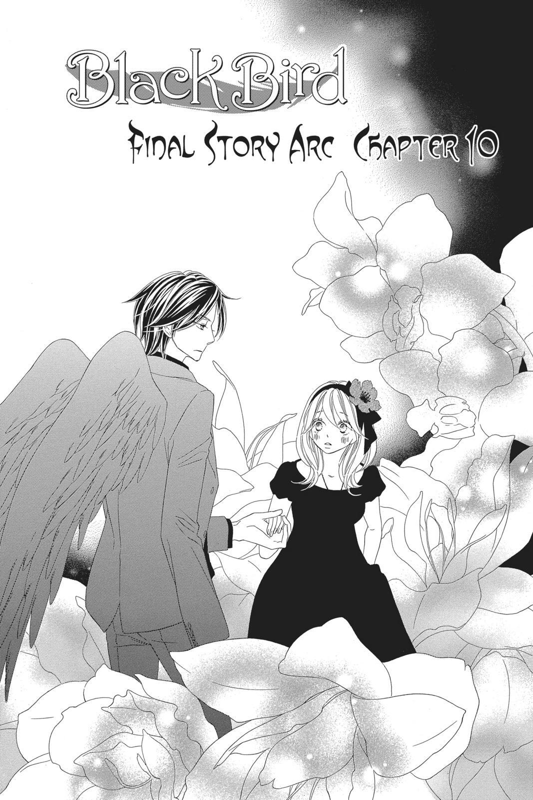 Read Black Bird Manga Online