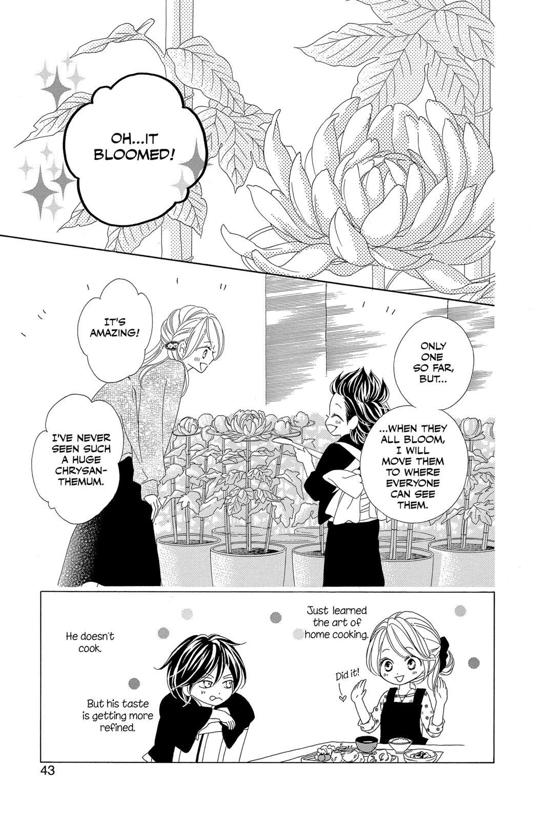 Read Black Bird Manga Online