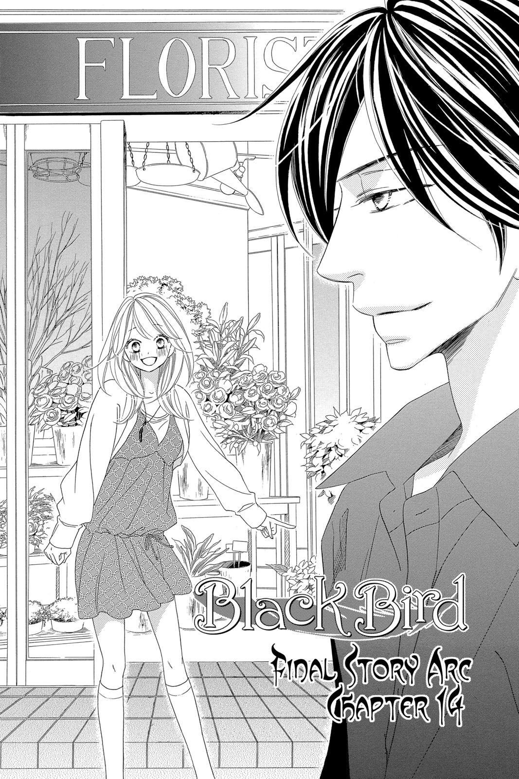 Read Black Bird Manga Online