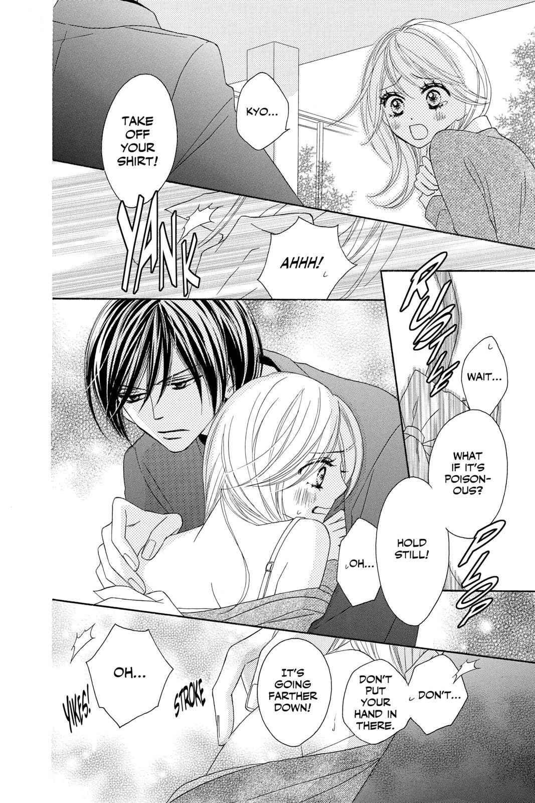 Read Black Bird Manga Online