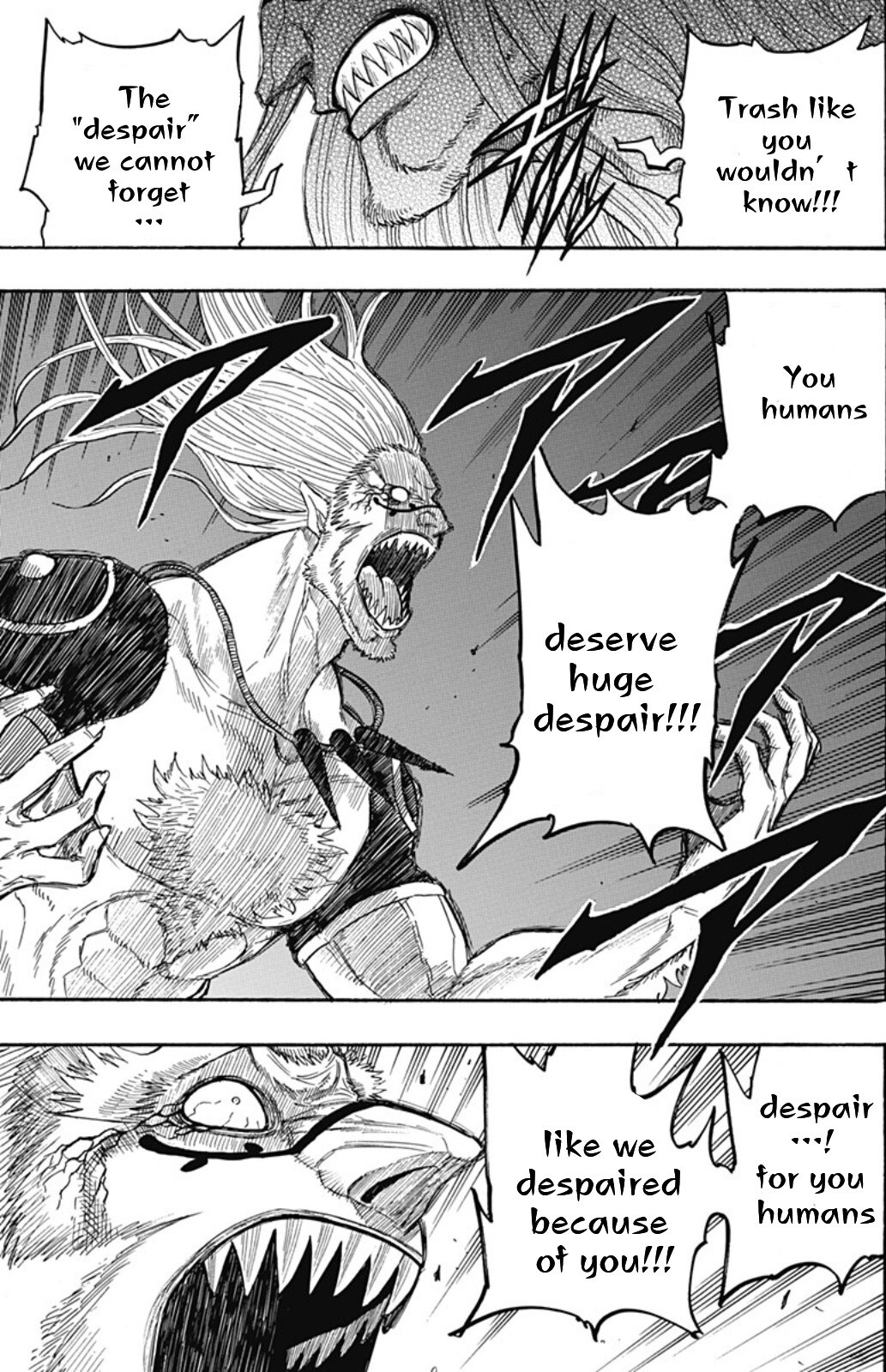Read Black Clover Side Story- Quartet Knights Manga Online