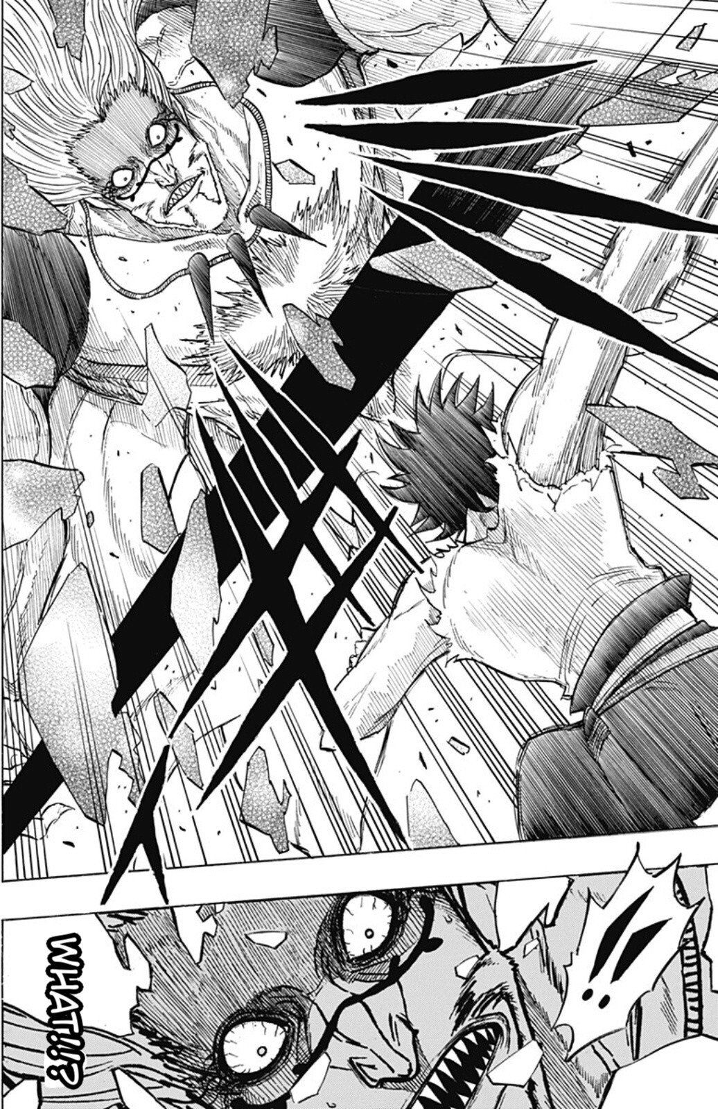 Read Black Clover Side Story- Quartet Knights Manga Online