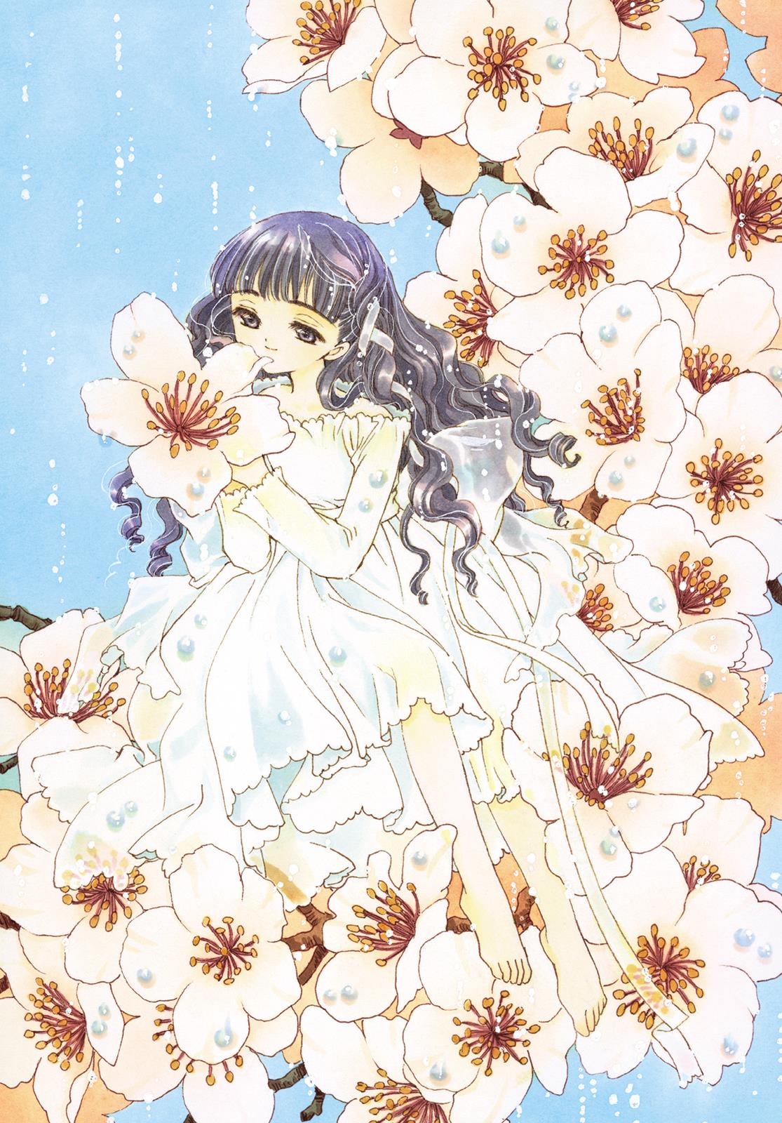 Read Cardcaptor Sakura Manga Online