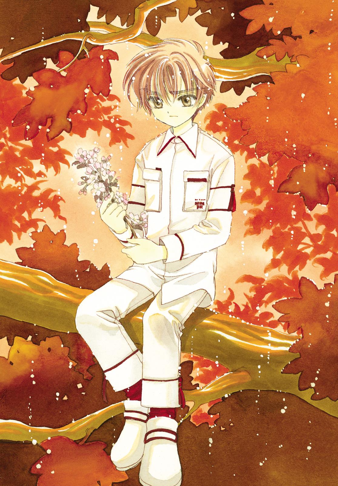 Read Cardcaptor Sakura Manga Online
