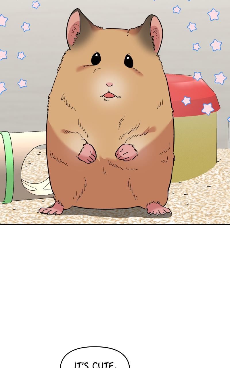 Read Childhood Friend Complex (Eunhi) Manga Online