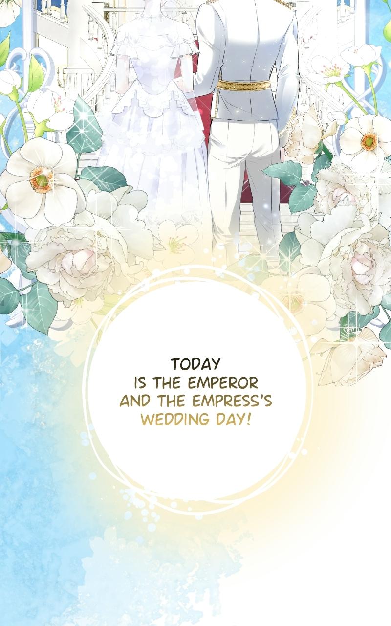 Read Contract Marriage with the Second Lead Manga Online
