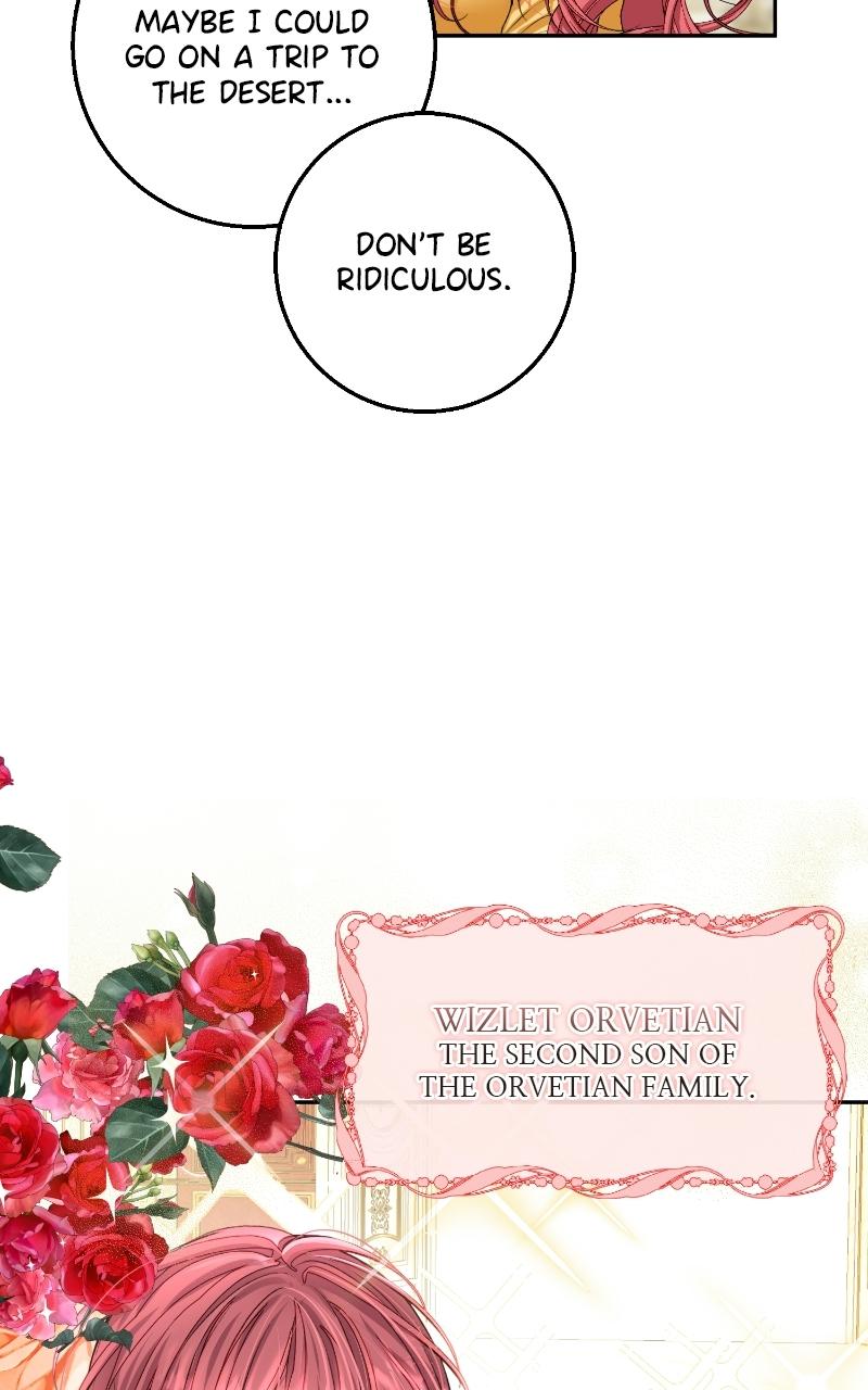 Read Contract Marriage with the Second Lead Manga Online