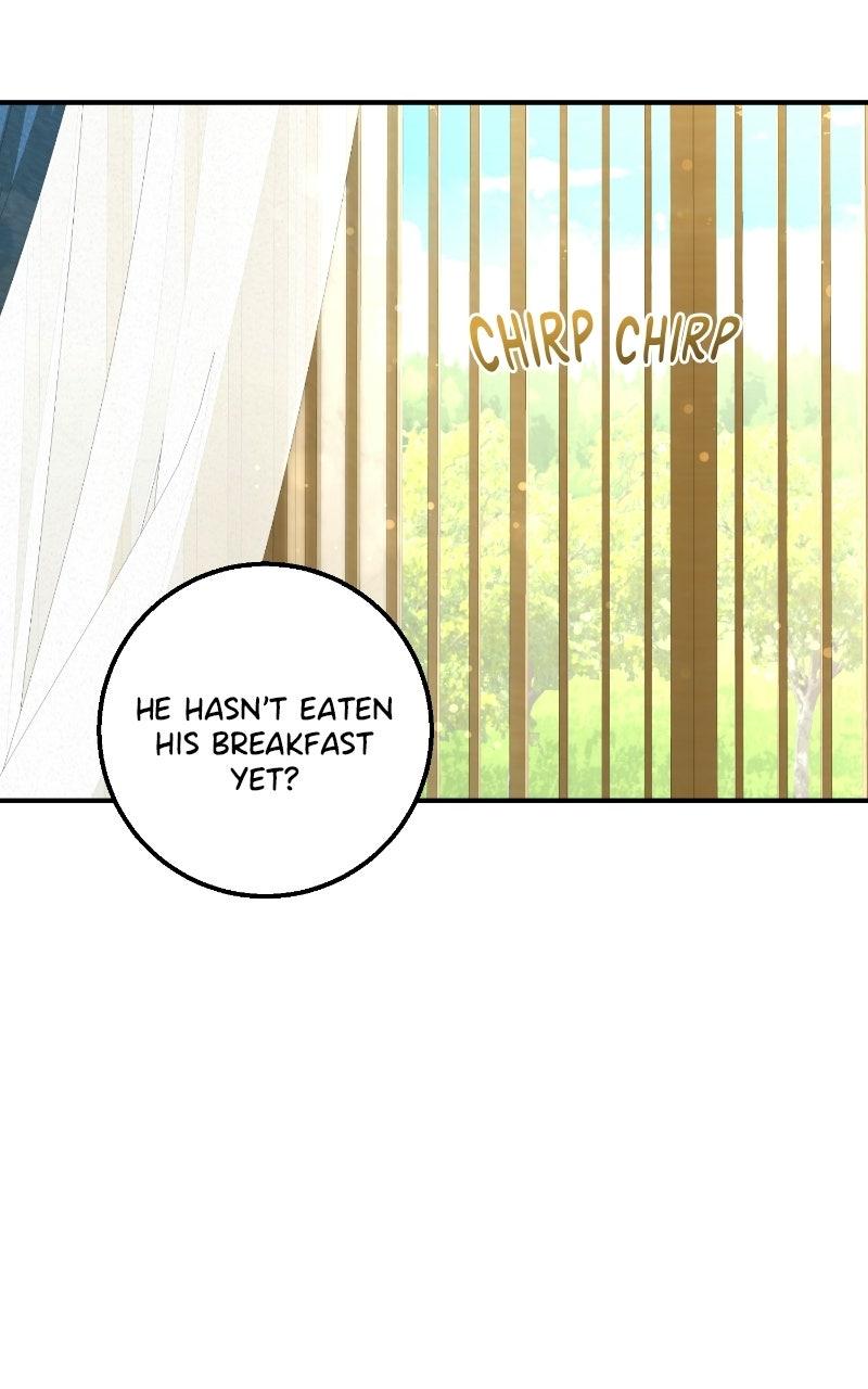 Read Contract Marriage with the Second Lead Manga Online