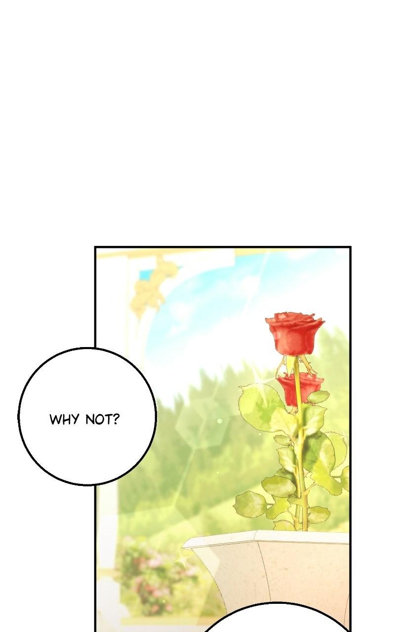 Read Contract Marriage with the Second Lead Manga Online