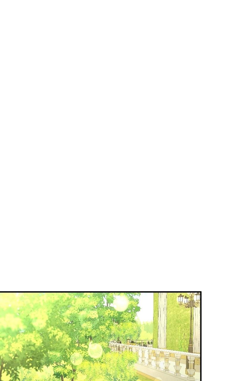 Read Contract Marriage with the Second Lead Manga Online