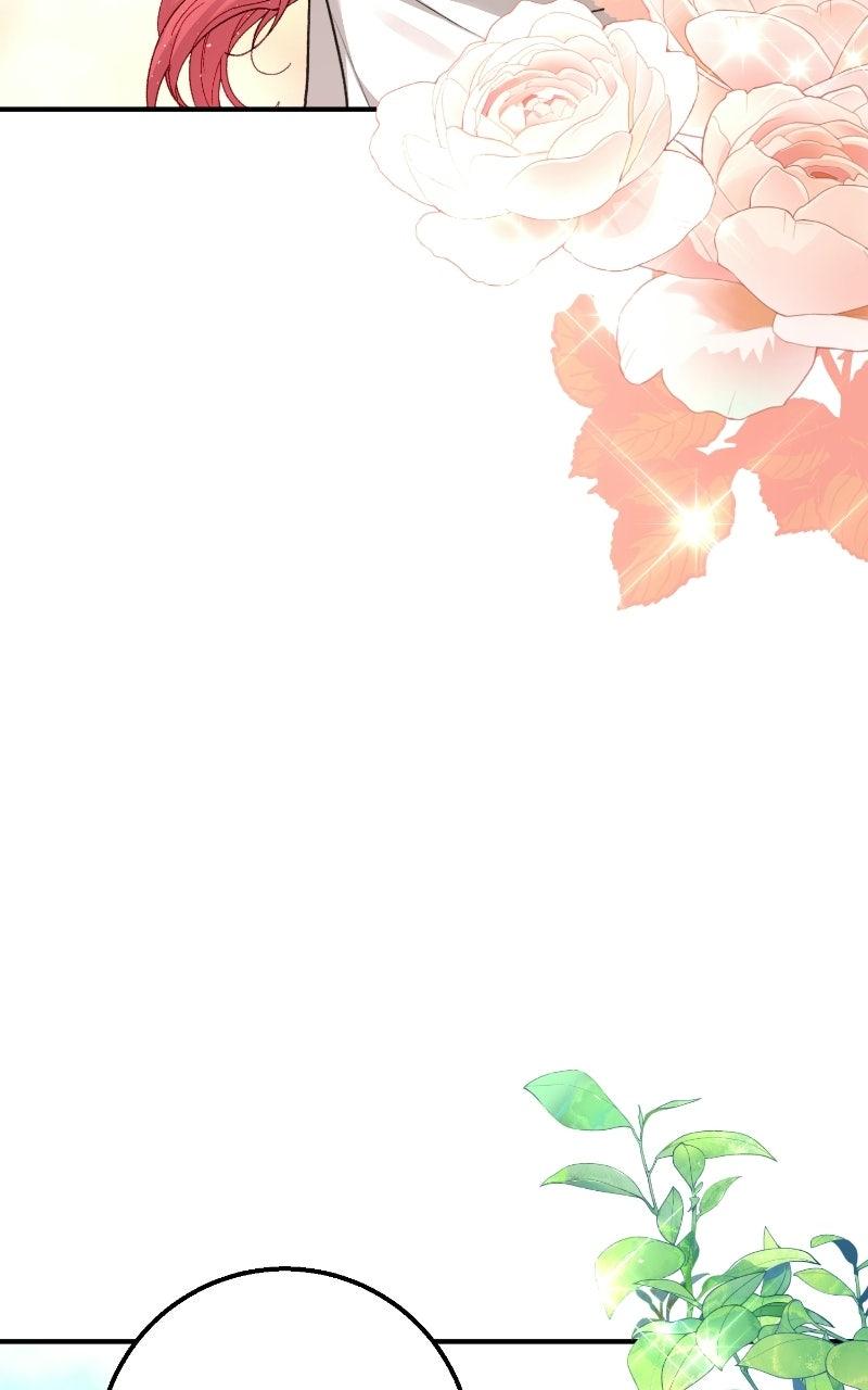 Read Contract Marriage with the Second Lead Manga Online
