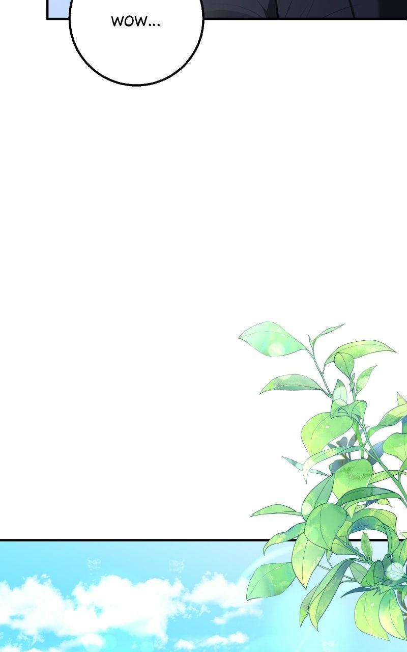 Read Contract Marriage with the Second Lead Manga Online