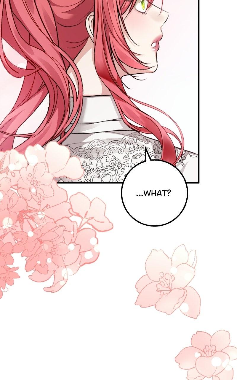 Read Contract Marriage with the Second Lead Manga Online