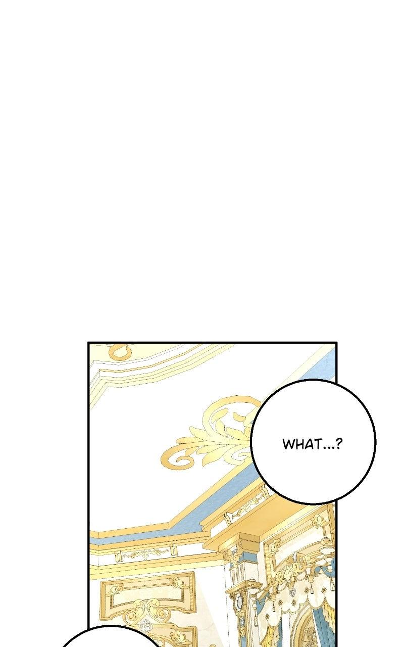 Read Contract Marriage with the Second Lead Manga Online