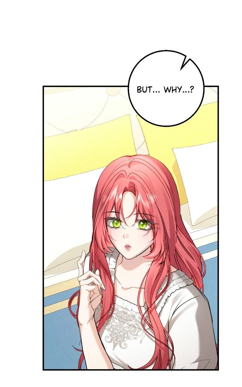 Read Contract Marriage with the Second Lead Manga Online