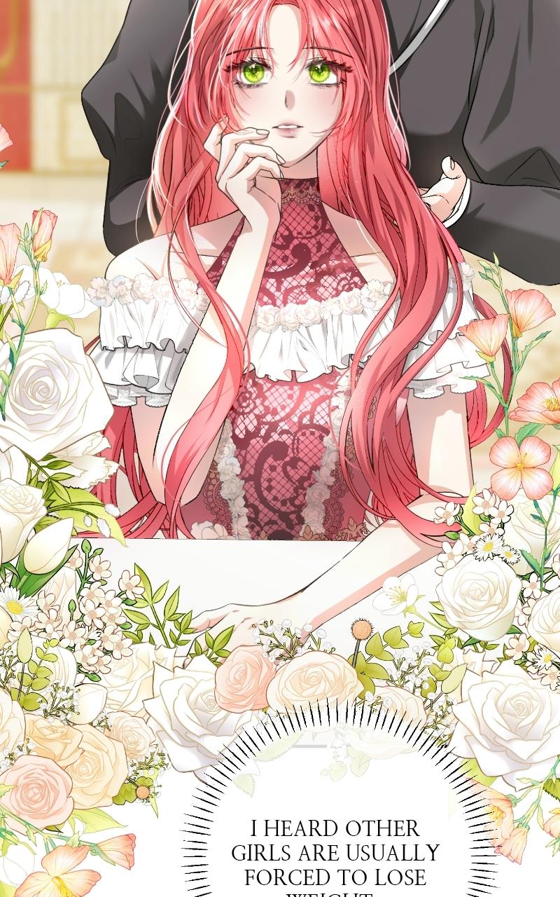 Read Contract Marriage with the Second Lead Manga Online