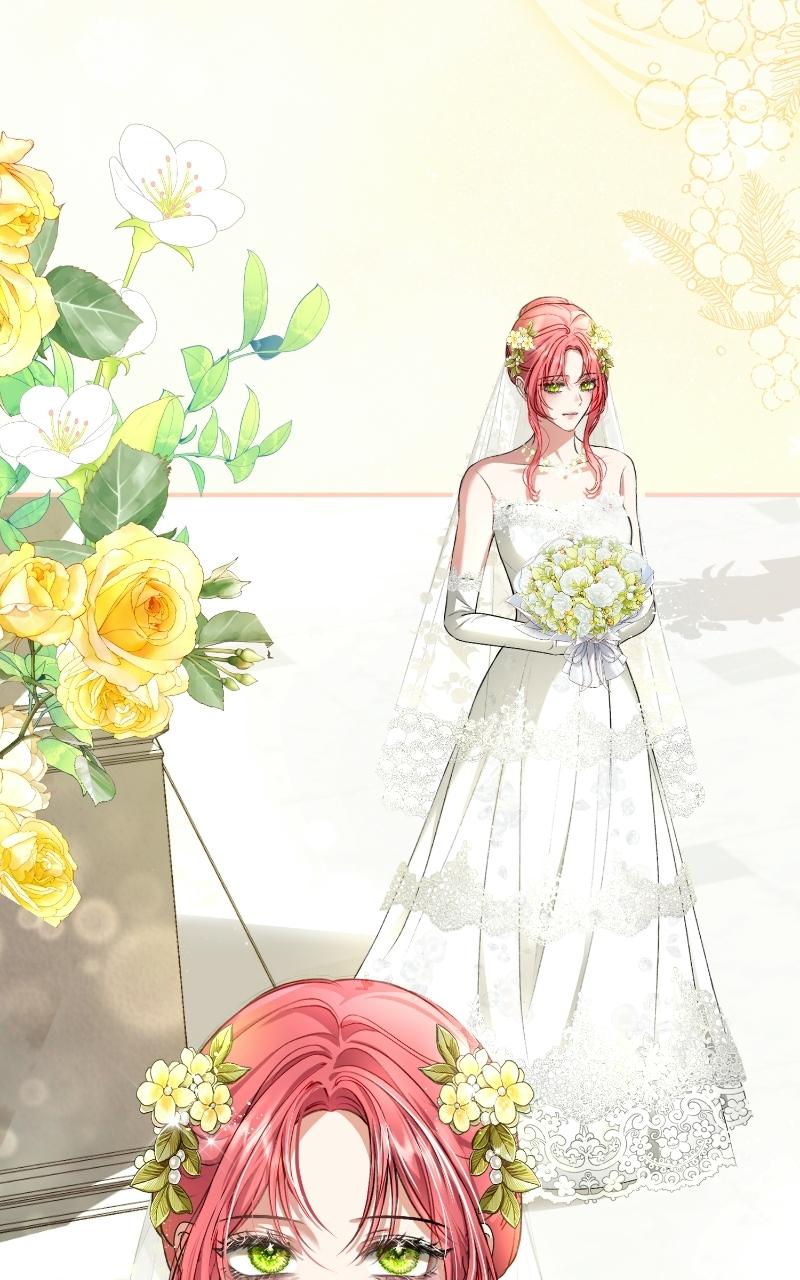 Read Contract Marriage with the Second Lead Manga Online