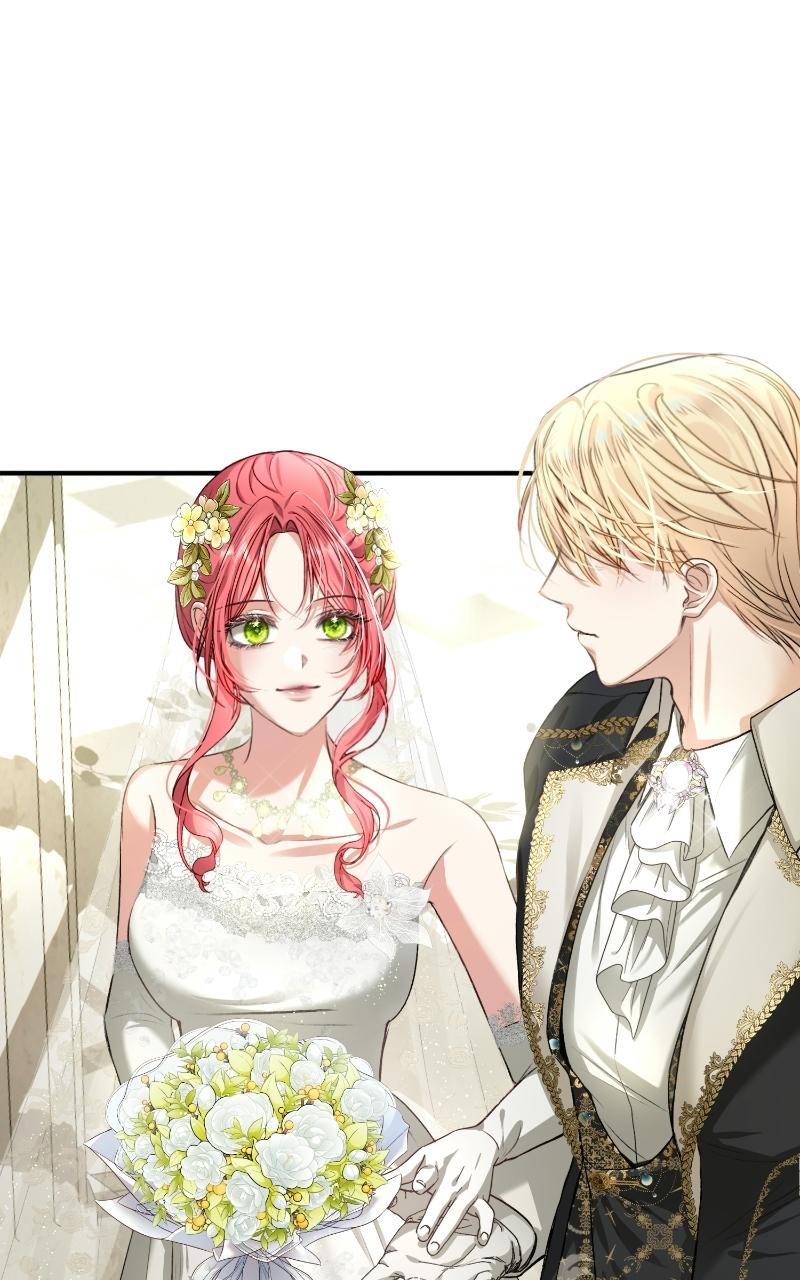 Read Contract Marriage with the Second Lead Manga Online