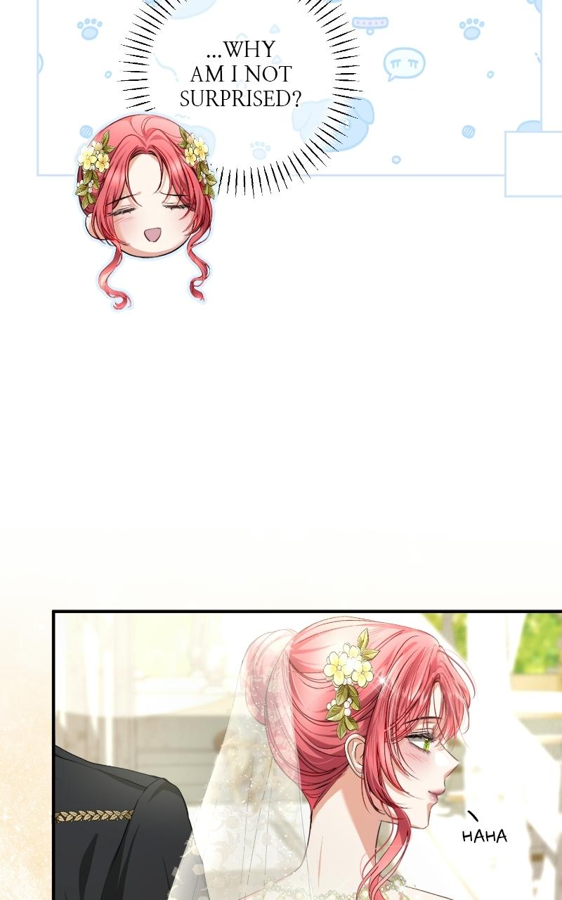 Read Contract Marriage with the Second Lead Manga Online