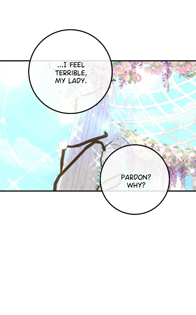Read Contract Marriage with the Second Lead Manga Online