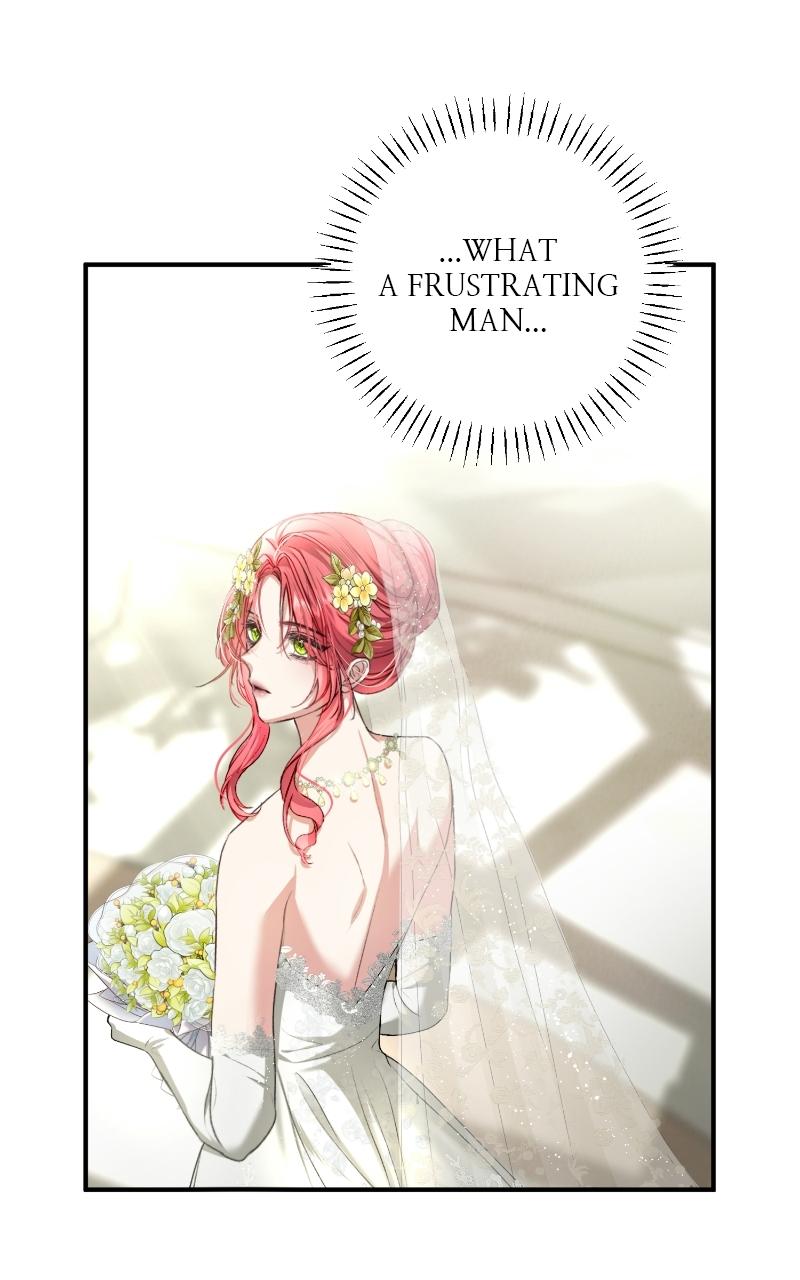 Read Contract Marriage with the Second Lead Manga Online