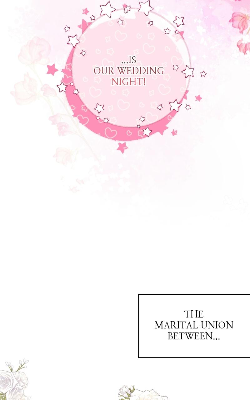 Read Contract Marriage with the Second Lead Manga Online