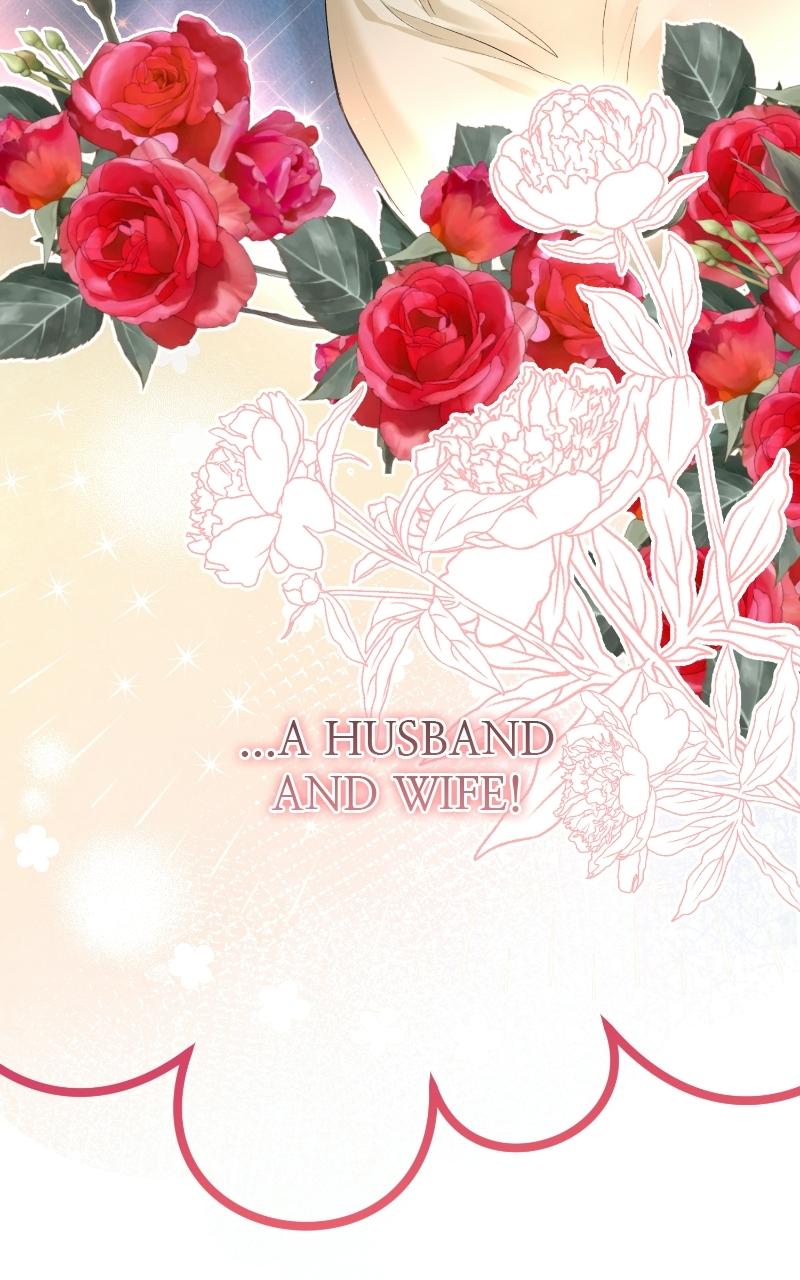 Read Contract Marriage with the Second Lead Manga Online