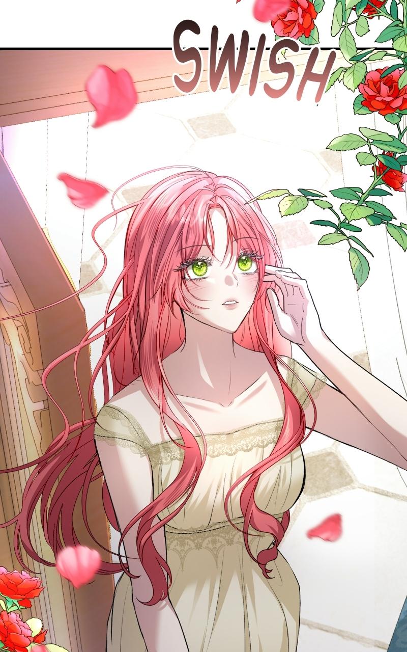 Read Contract Marriage with the Second Lead Manga Online
