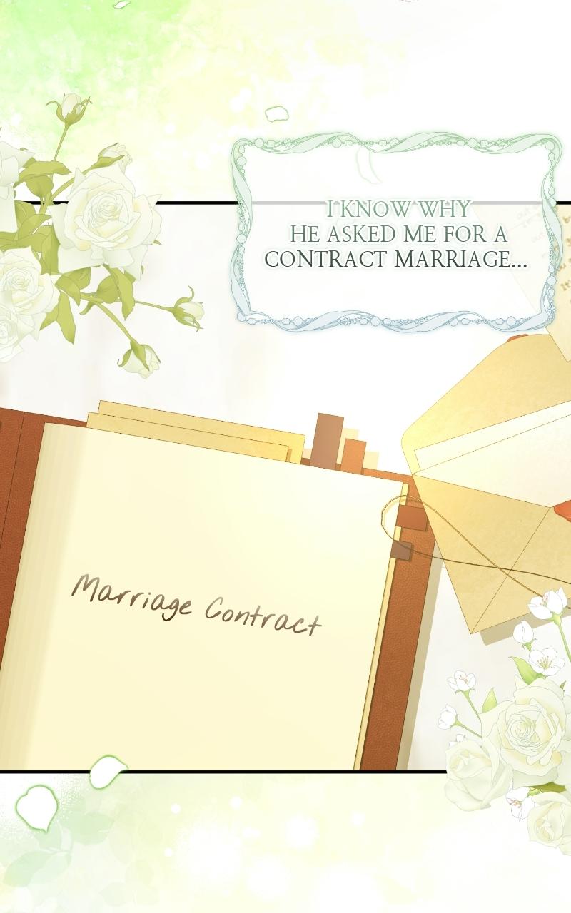 Read Contract Marriage with the Second Lead Manga Online